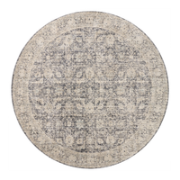 Alie (Amber Lewis × Loloi) ALE-05 Rug [Charcoal/Beige]