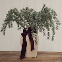 Evergreen Larch Sprig