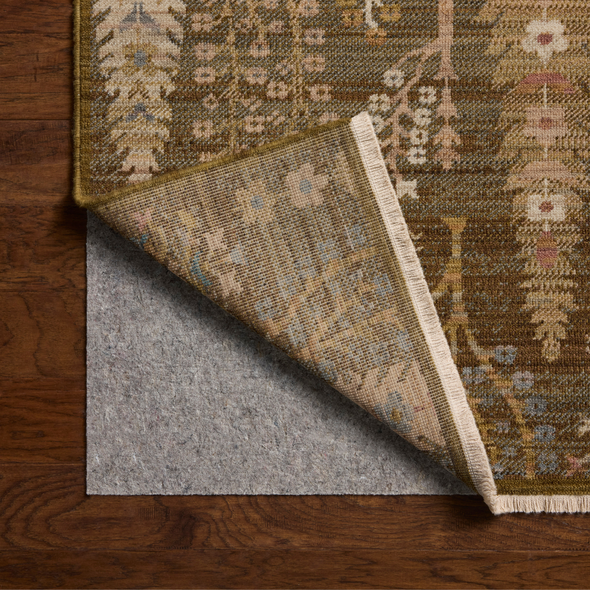 Reign REN-11 Rug [Moss/Multi]