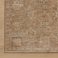 Willa WIA-01 Rug [Clay/Multi]