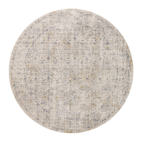 Alie (Amber Lewis × Loloi) ALE-02 Rug [Sand/Sky]