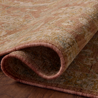 Reign REN-07 Rug [Terracotta/Sky]