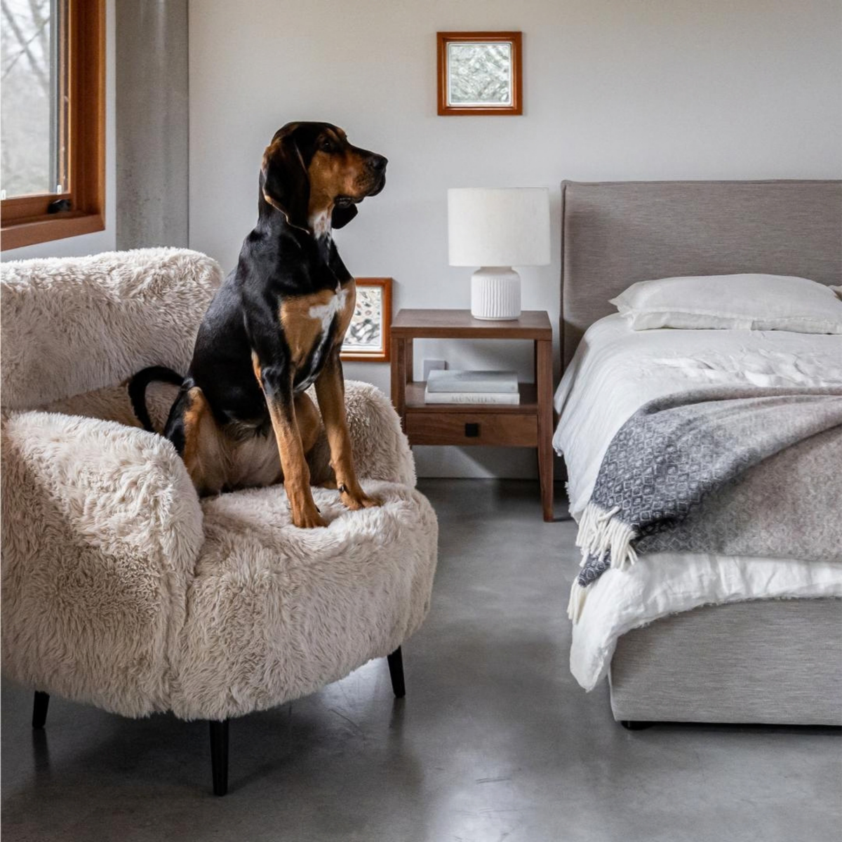Jordan Short Storage Bed [Sand]