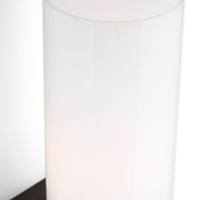 Maroux 1-Light Vanity/Sconce