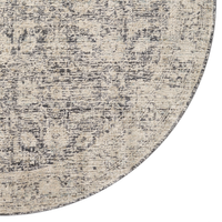 Alie (Amber Lewis × Loloi) ALE-05 Rug [Charcoal/Beige]