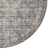 Alie (Amber Lewis × Loloi) ALE-03 Rug [Charcoal/Dove]
