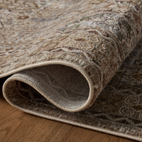 Aylin AYL-07 Rug [Taupe/Multi]