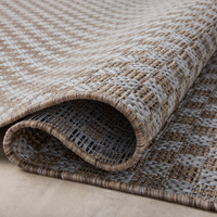Topanga (Amber Lewis × Loloi) TOP-02 Indoor/Outdoor Rug [Natural/Silver]