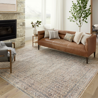 Blake BLA-04 (AR) Rug [Beige/Denim]