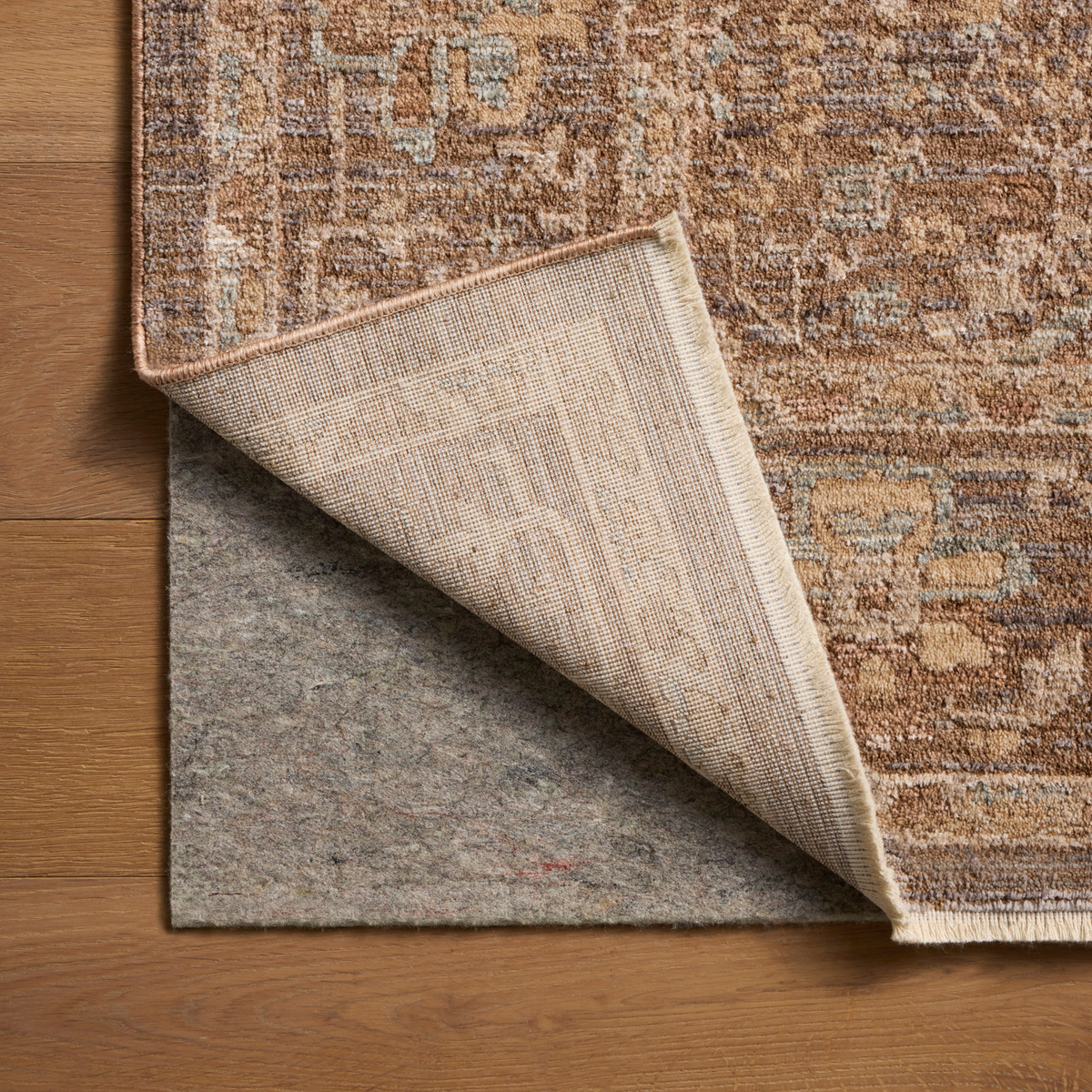 Doris (Chris Loves Julia × Loloi) DRS-03 Rug [Bark/Spa]