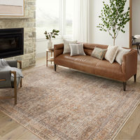 Blake BLA-06 (AR) Rug [Oatmeal/Spice]