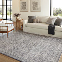 Alie (Amber Lewis × Loloi) ALE-03 Rug [Charcoal/Dove]