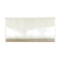 Open Sky [Artwork on Stretched Canvas]