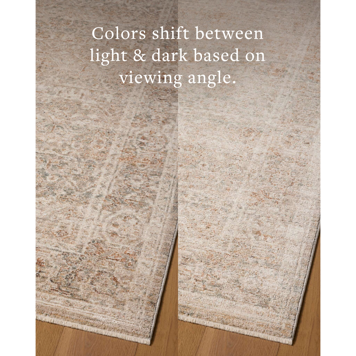 Doris (Chris Loves Julia × Loloi) DRS-06 Rug [Mist/Clay]