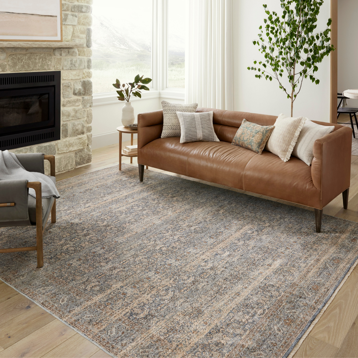 Blake BLA-02 (AR) Rug [Ocean/Mocha]