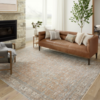 Blake BLA-05 (AR) Rug [Sand/Sky]