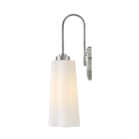 Honey 1-Light Vanity Sconce