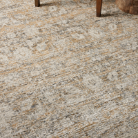 Alie (Amber Lewis × Loloi) ALE-05 Rug [Gold/Beige]