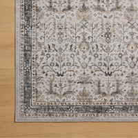 Anniston ANS-01 Machine Washable Rug [Ivory/Stone]