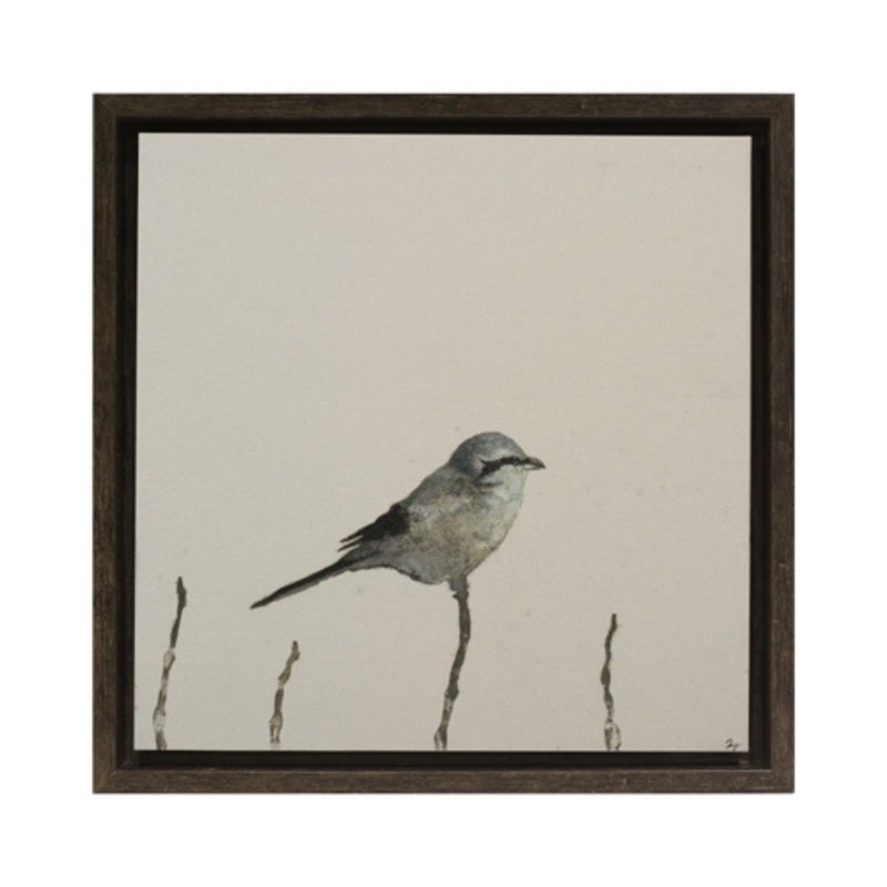 Neutral Bird II Framed Canvas