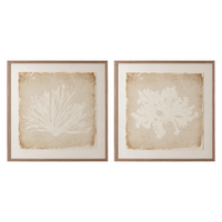 Sandy Flora [40" x 40"]
