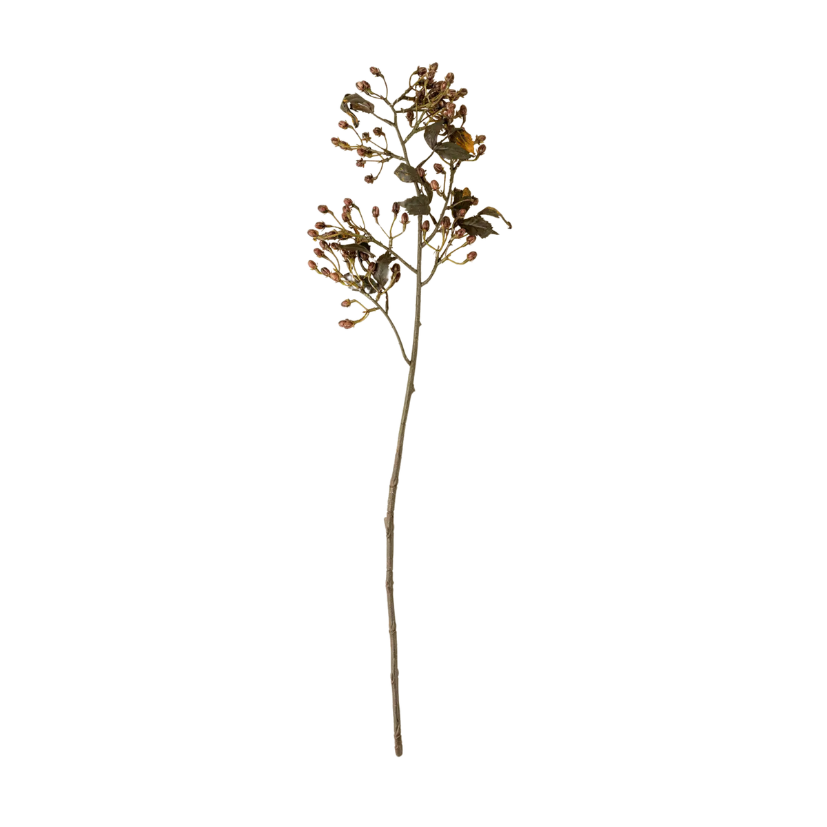 Hipericum Spray