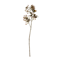 Hipericum Spray