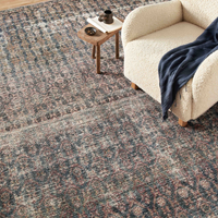 Billie (Amber Lewis × Loloi) BIL-02 Rug [Ocean/Brick]