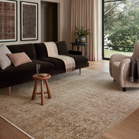 Molly (Amber Lewis × Loloi) MOL-08 Rug [Antique/Multi]