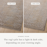 Cali (Amber Lewis × Loloi) CIL-03 Rug [Taupe/Multi]