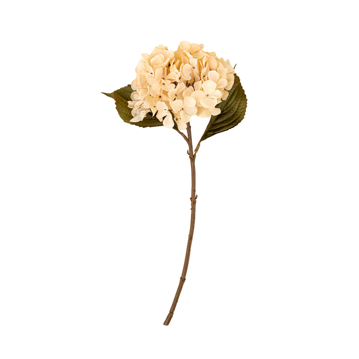 Hydrangea Floral Stem [Cream]