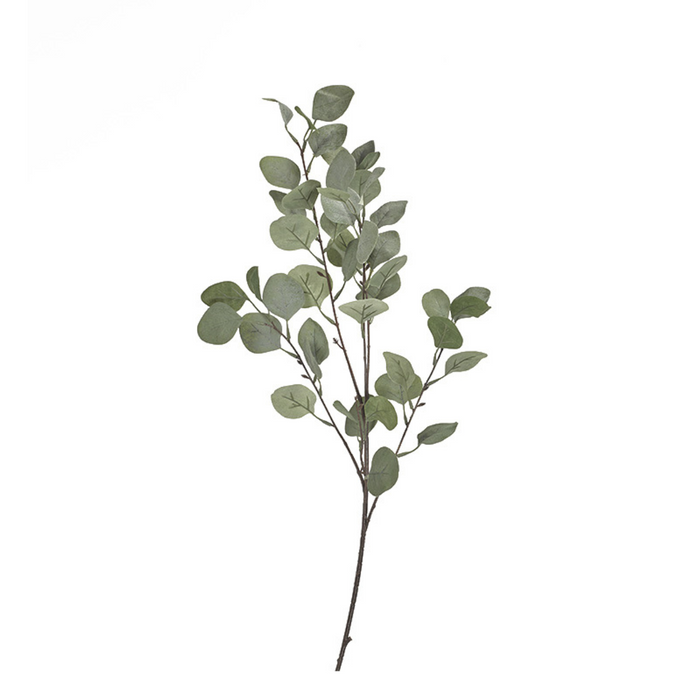 Silver Dollar Branch - Green/Grey