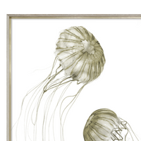 Pacifica Jelly II [27" x 45"]