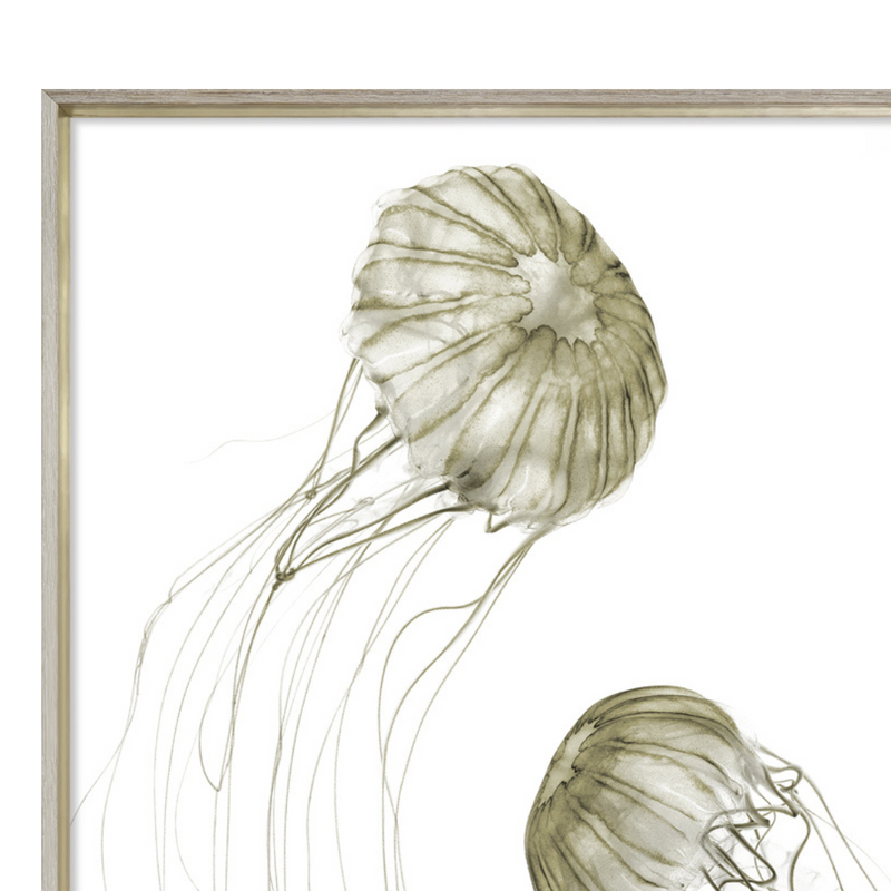 Pacifica Jelly II [27" x 45"]