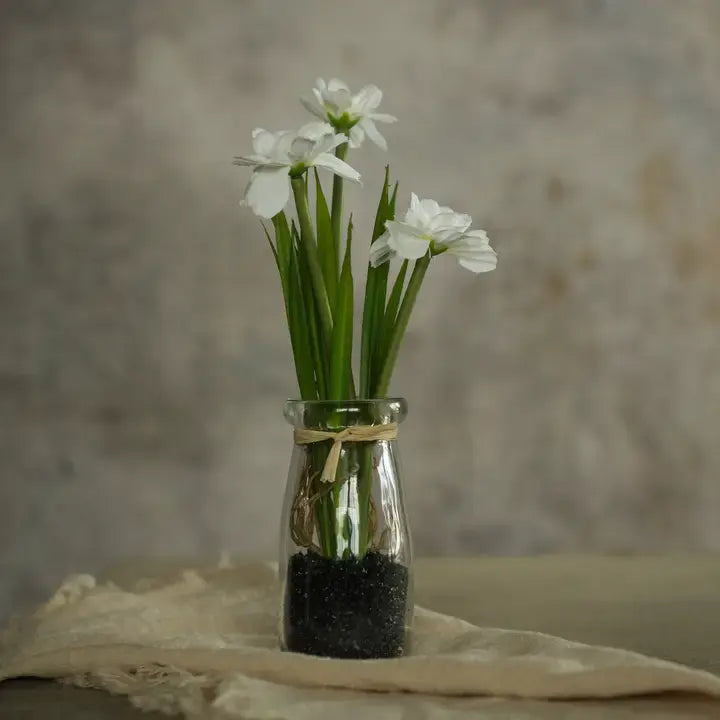 8.25" Potted White Daisy