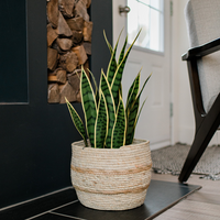 Small Maize Basket