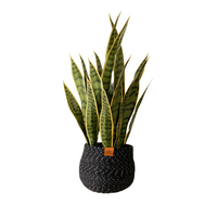 Potted Artificial Snake Plant 27"