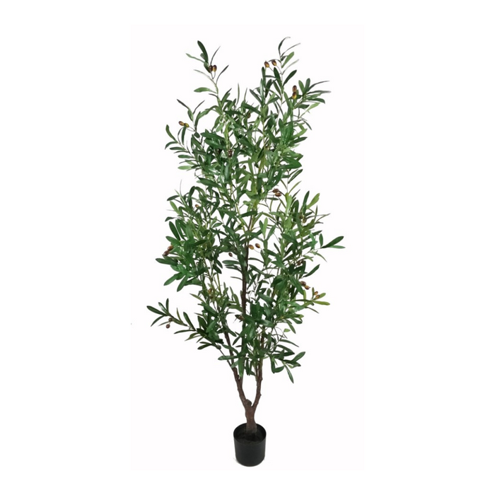 Artificial Olive Plant - 6'