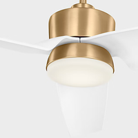 Colgin LED Ceiling Fan