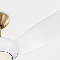 Topan Smart LED Ceiling Fan