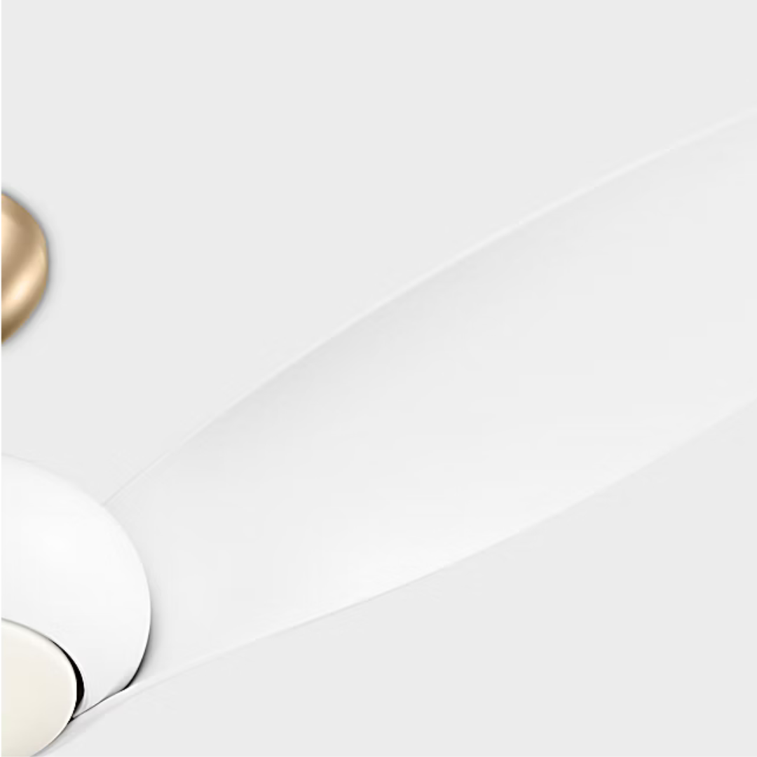 Topan Smart LED Ceiling Fan