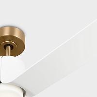 Peel Smart LED Ceiling Fan