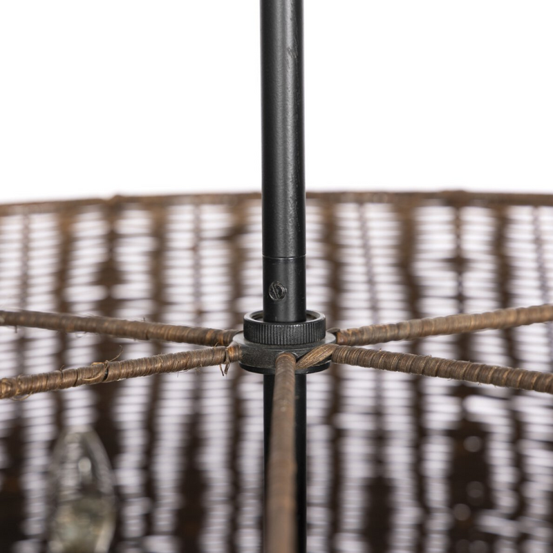 Hektor Chandelier