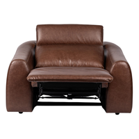 Adam Power Recliner