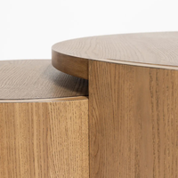 Foxx Nesting Coffee Tables [Set of 2]