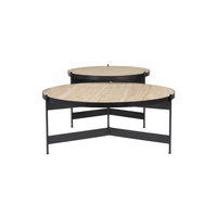 Wade Travertine Nesting Coffee Table Set