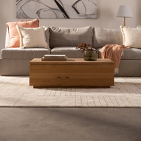 Transformer Lift-Top Coffee Table