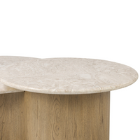 Tajah Coffee Table
