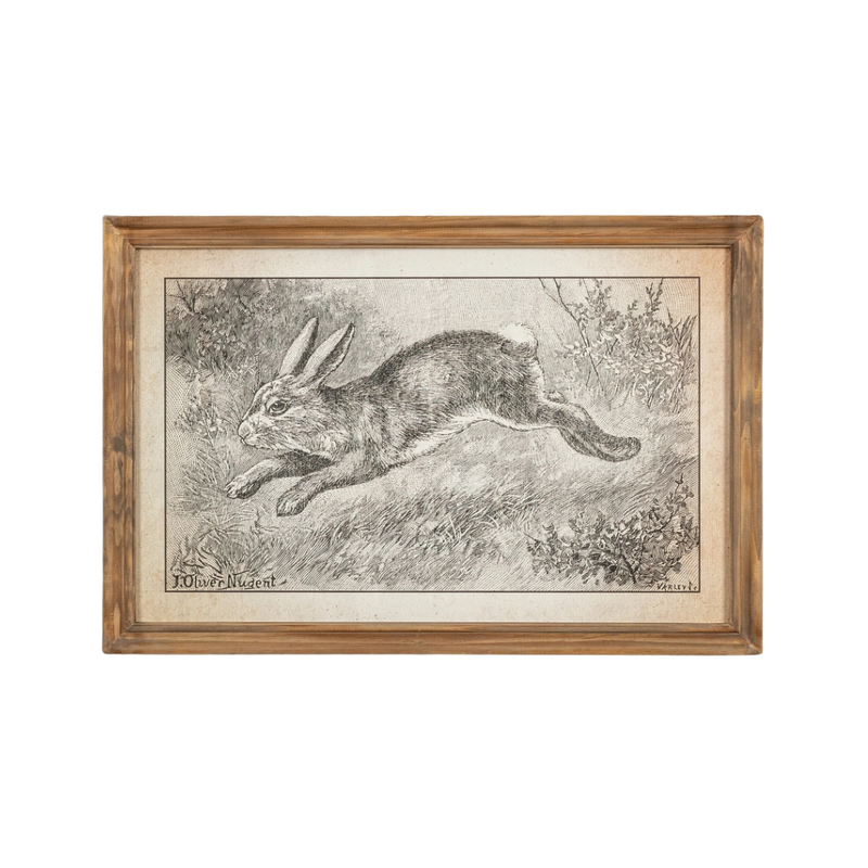 Hopping Down the Bunny Trail [16" x 24" Framed Print]