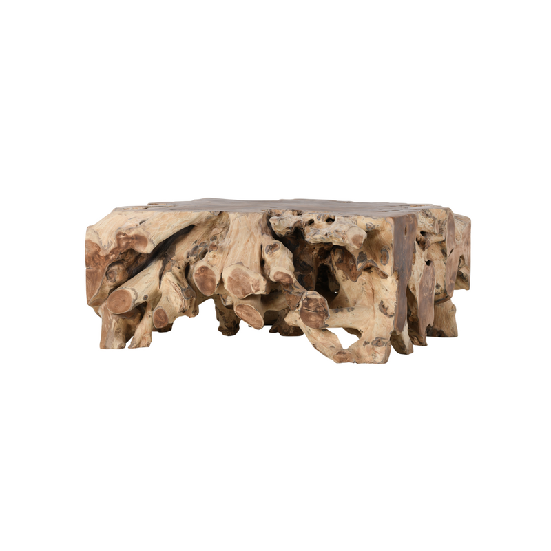 Cyrus Root Square Coffee Table